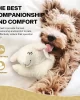 All For Paws Dog All For Paws Puppy Dog Fleece Stuffed Animal Toy Anxiety Soothing Dog Crate Snuggle Sleep Aid Plush Comfort Toy