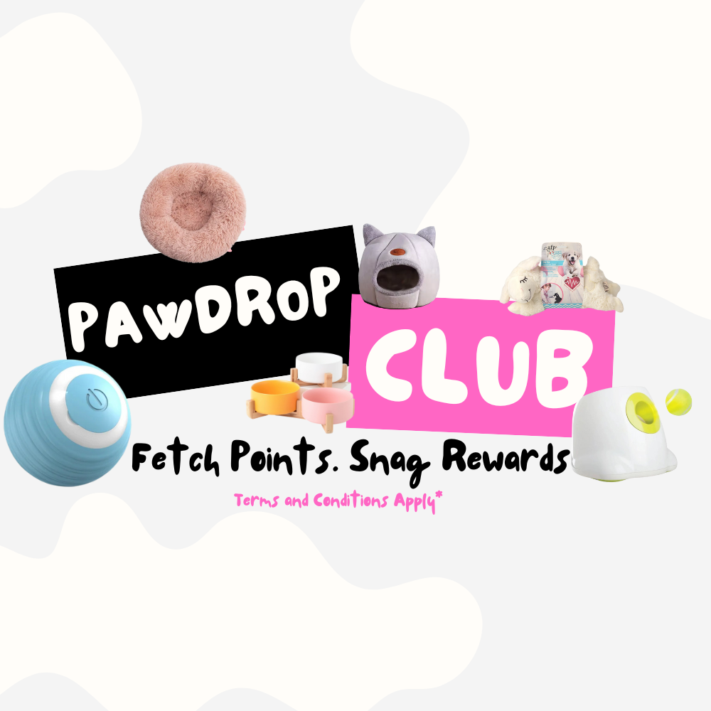 Alt Text: PawDrop logo showcasing premium pet products for dogs and cats.