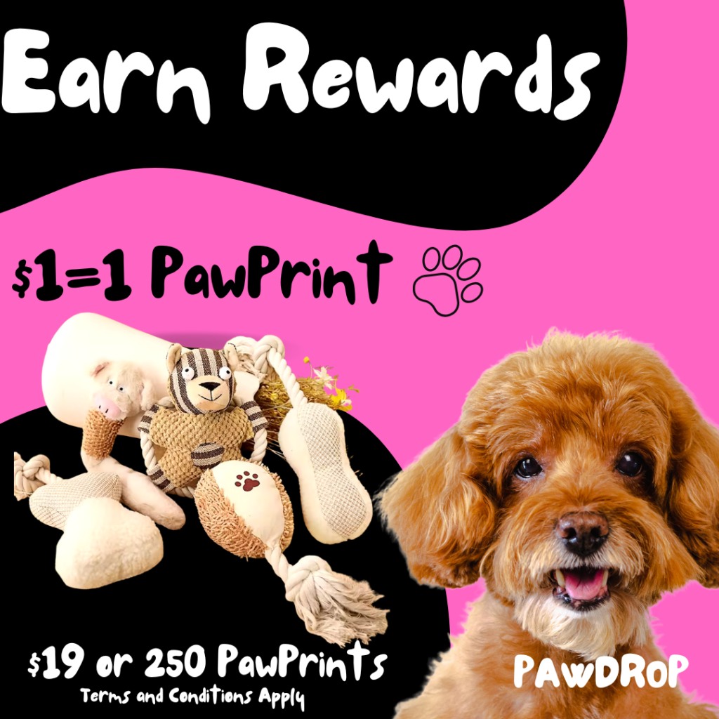 PawDrop Rewards