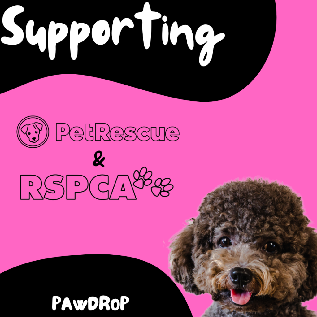 PawDrop Rewards